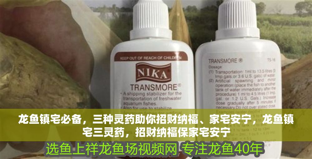 詳細閱讀:龍魚鎮宅必備,三種靈藥助你招財納福、家宅安寧,龍魚鎮宅三靈藥,招財納福保家宅安寧 龍魚鎮宅必備,三種靈藥助你招財納福、家宅安寧,龍魚鎮宅三靈藥,招財納福保家宅安寧