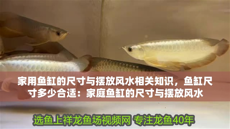 家用魚缸的尺寸與擺放風水相關知識，魚缸尺寸多少合適：家庭魚缸的尺寸與擺放風水