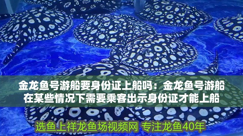 金龍魚號游船要身份證上船嗎：金龍魚號游船在某些情況下需要乘客出示身份證才能上船