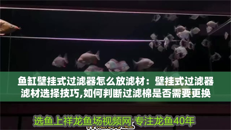 魚(yú)缸壁掛式過(guò)濾器怎么放濾材：壁掛式過(guò)濾器濾材選擇技巧,如何判斷過(guò)濾棉是否需要更換