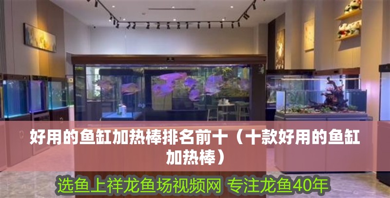 好用的魚缸加熱棒排名前十（十款好用的魚缸加熱棒）