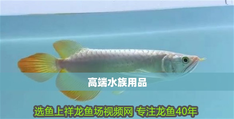 高端水族用品