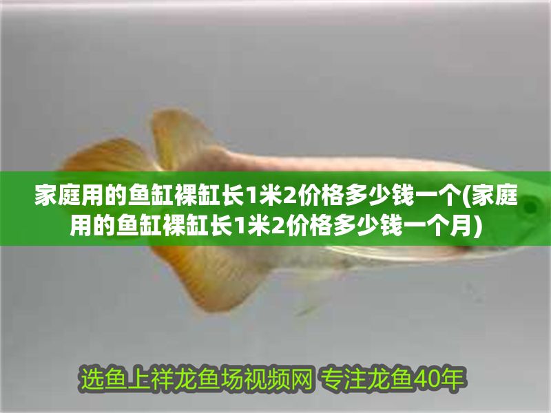 家庭用的魚缸裸缸長1米2價格多少錢一個(家庭用的魚缸裸缸長1米2價格多少錢一個月) 家庭用的魚缸裸缸長1米2價格多少錢一個(家庭用的魚缸裸缸長1米2價格多少錢一個月) 黃金貓魚百科 第1張