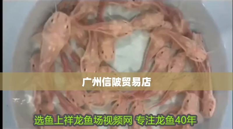 廣州信陂貿易店