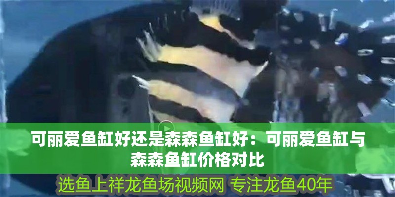 可麗愛魚缸好還是森森魚缸好：可麗愛魚缸與森森魚缸價格對比
