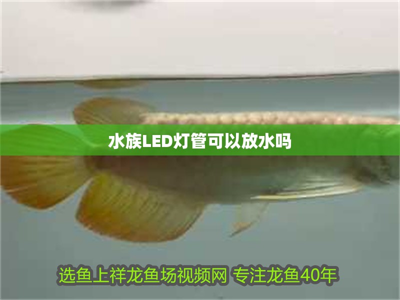 水族LED燈管可以放水嗎