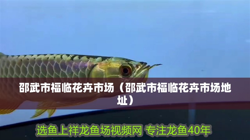 邵武市福臨花卉市場（邵武市福臨花卉市場地址）