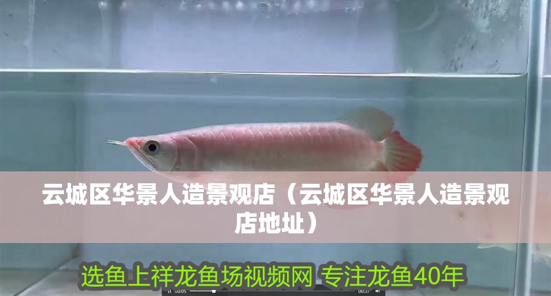 云城區(qū)華景人造景觀店（云城區(qū)華景人造景觀店地址）