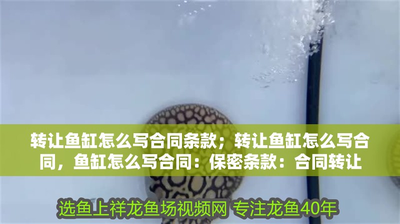 轉(zhuǎn)讓魚缸怎么寫合同條款；轉(zhuǎn)讓魚缸怎么寫合同，魚缸怎么寫合同：保密條款：合同轉(zhuǎn)讓