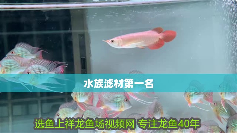水族濾材第一名