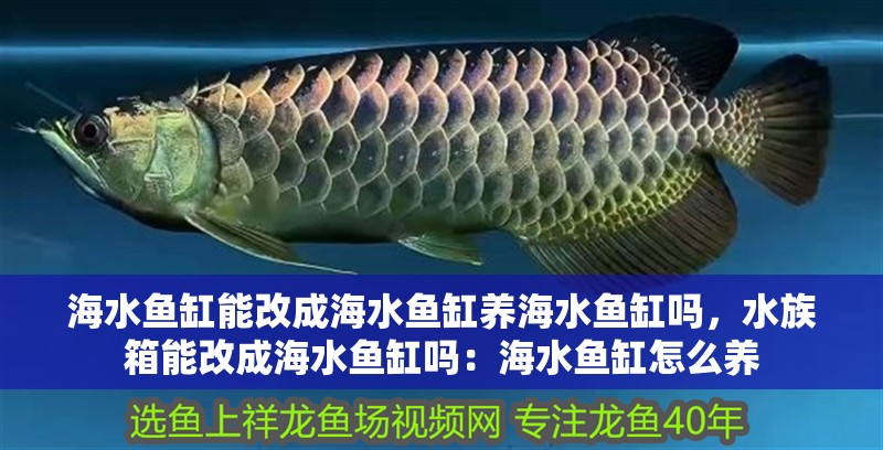 海水魚缸能改成海水魚缸養海水魚缸嗎，水族箱能改成海水魚缸嗎：海水魚缸怎么養