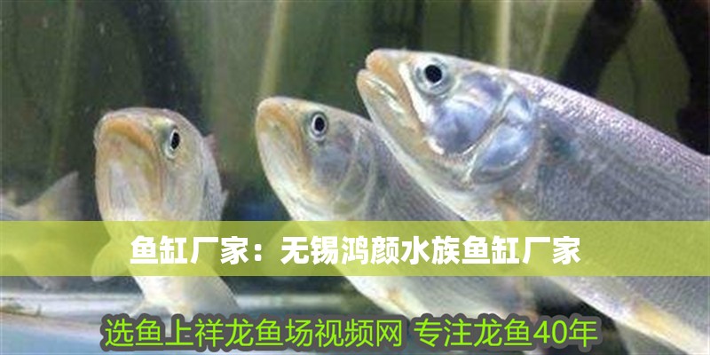 魚缸廠家：無錫鴻顏水族魚缸廠家