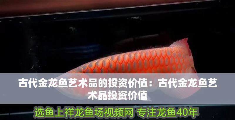 古代金龍魚藝術品的投資價值：古代金龍魚藝術品投資價值