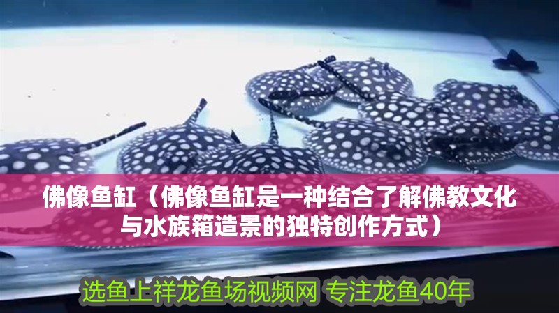 佛像魚缸（佛像魚缸是一種結合了解佛教文化與水族箱造景的獨特創作方式）