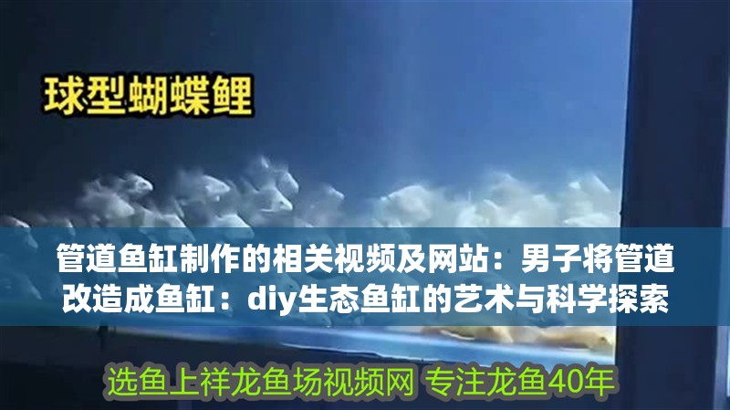 管道魚缸制作的相關視頻及網站：男子將管道改造成魚缸：diy生態魚缸的藝術與科學探索
