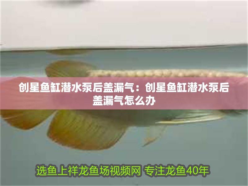 創(chuàng)星魚缸潛水泵后蓋漏氣：創(chuàng)星魚缸潛水泵后蓋漏氣怎么辦