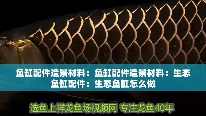 魚缸配件造景材料：魚缸配件造景材料：生態(tài)魚缸配件：生態(tài)魚缸怎么做