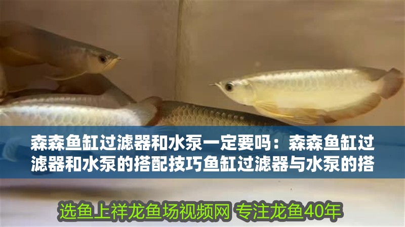 魚缸造景先放沙還是先放水(魚缸造景先鋪沙還是先放石頭) 森森魚缸過濾器和水泵一定要嗎:森森魚缸過濾器和水泵的搭配技巧魚缸過濾器與水泵的搭配技巧 魚缸百科 森森魚缸過濾器和水泵一定要嗎:森森魚缸過濾器和水泵的搭配技巧魚缸過濾器與水泵的搭配技巧 森森魚缸過濾器和水泵一定要嗎:森森魚缸過濾器和水泵的搭配技巧魚缸過濾器與水泵的搭配技巧 魚缸百科