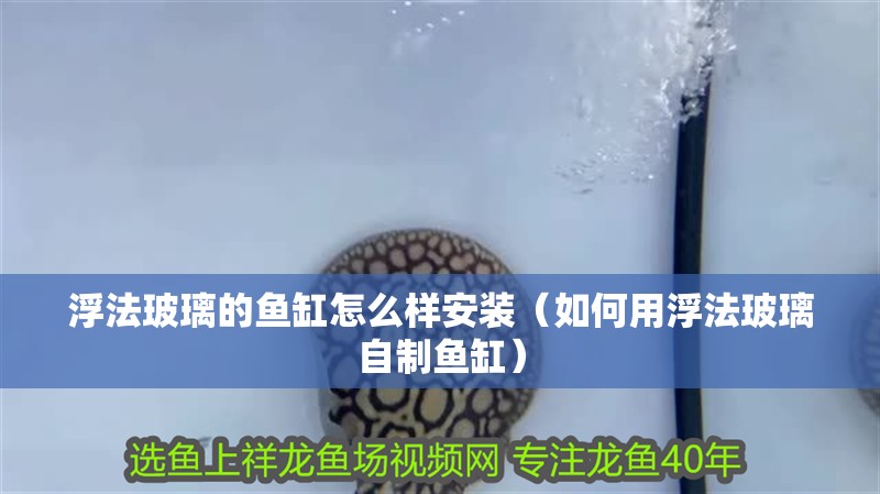 浮法玻璃的魚缸怎么樣安裝（如何用浮法玻璃自制魚缸）