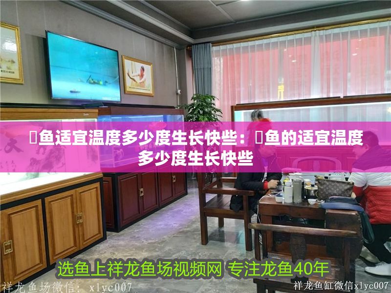 魟魚適宜溫度多少度生長快些：魟魚的適宜溫度多少度生長快些