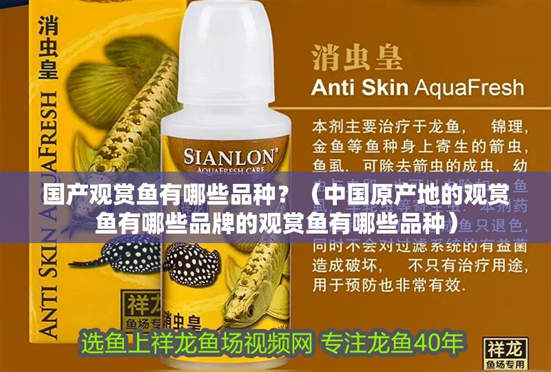 國產觀賞魚有哪些品種？（中國原產地的觀賞魚有哪些品牌的觀賞魚有哪些品種）