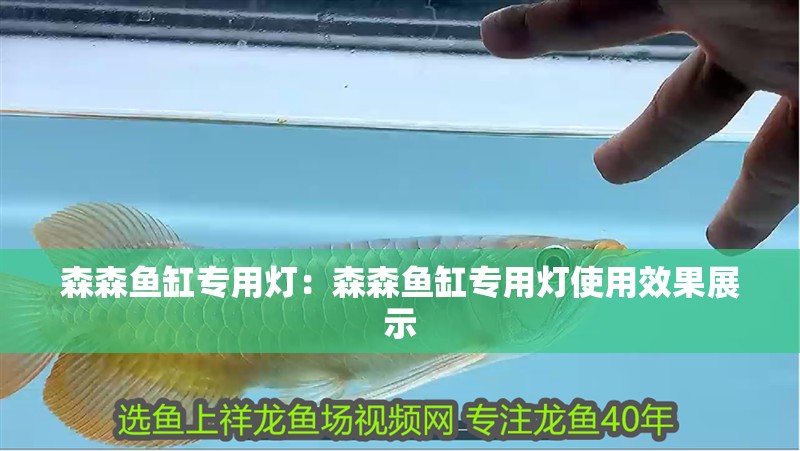 森森魚缸專用燈：森森魚缸專用燈使用效果展示