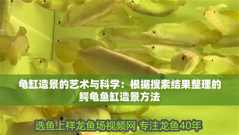 龜缸造景的藝術與科學：根據搜索結果整理的鱷龜魚缸造景方法
