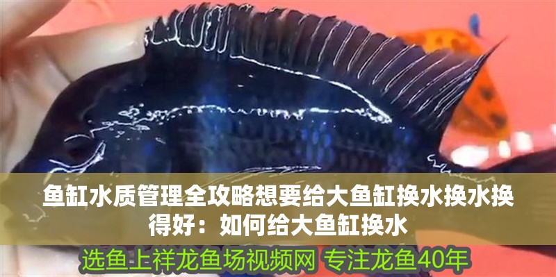 魚(yú)缸水質(zhì)管理全攻略想要給大魚(yú)缸換水換水換得好：如何給大魚(yú)缸換水