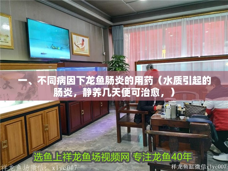 一、不同病因下龍魚腸炎的用藥（水質(zhì)引起的腸炎，靜養(yǎng)幾天便可治愈，）