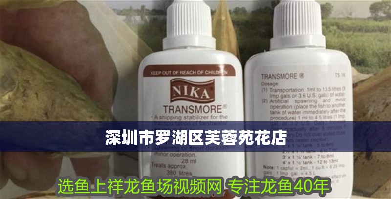 深圳市羅湖區(qū)芙蓉苑花店