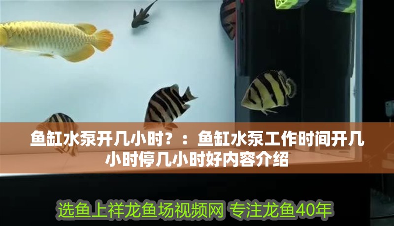 魚缸水泵開幾小時？：魚缸水泵工作時間開幾小時停幾小時好內容介紹