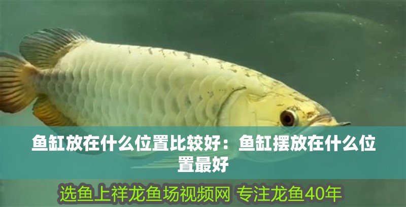 魚缸放在什么位置比較好：魚缸擺放在什么位置最好