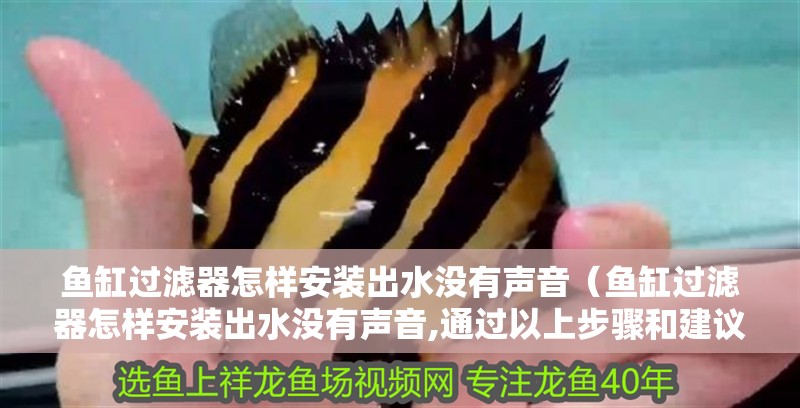 魚缸過濾器怎樣安裝出水沒有聲音（魚缸過濾器怎樣安裝出水沒有聲音,通過以上步驟和建議）