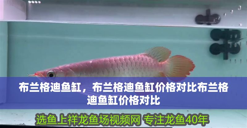 布蘭格迪魚缸，布蘭格迪魚缸價格對比布蘭格迪魚缸價格對比