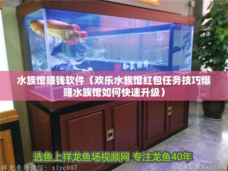 水族館賺錢軟件（歡樂水族館紅包任務技巧爆賺水族館如何快速升級）