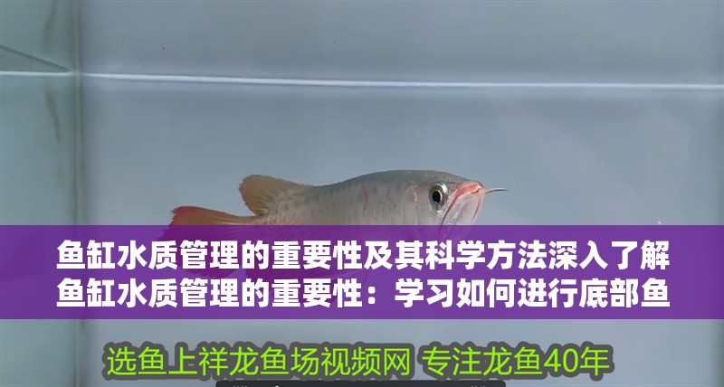 魚缸水質管理的重要性及其科學方法深入了解魚缸水質管理的重要性：學習如何進行底部魚缸過濾器故障診斷與維修