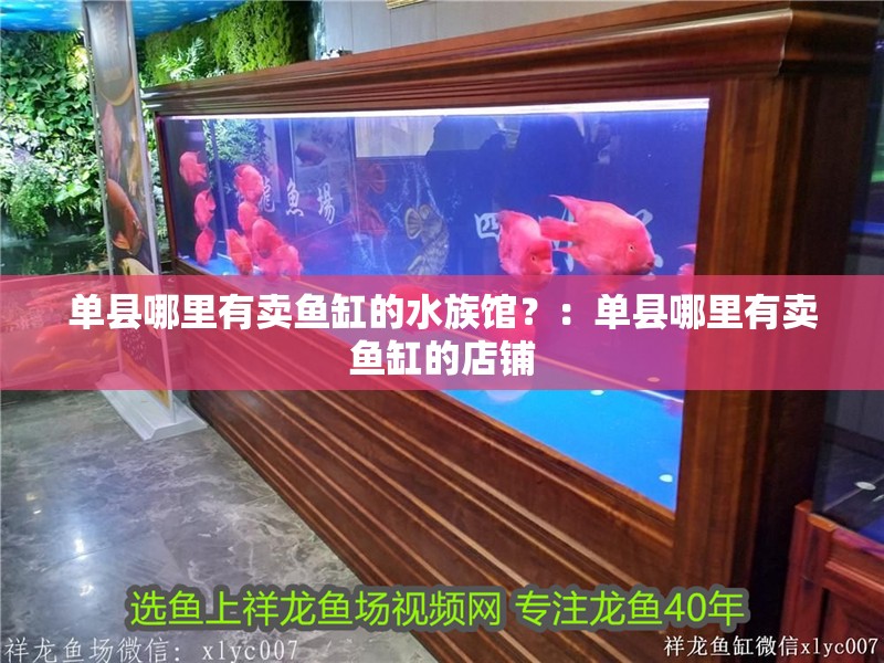 單縣哪里有賣魚缸的水族館？：單縣哪里有賣魚缸的店鋪