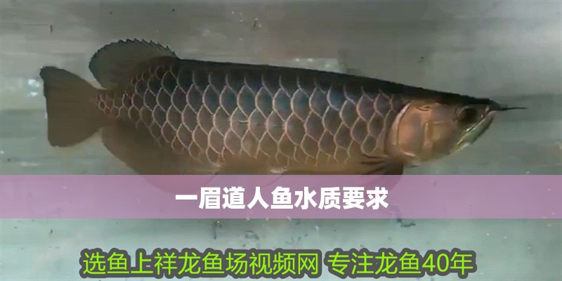 一眉道人魚水質(zhì)要求