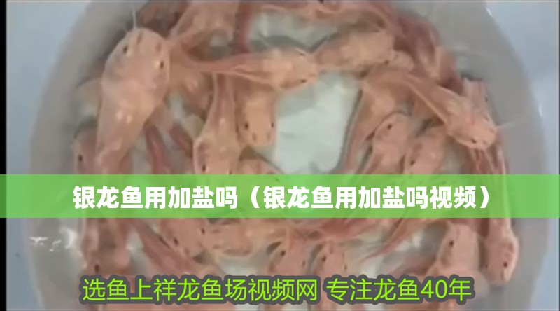 銀龍魚用加鹽嗎（銀龍魚用加鹽嗎視頻）