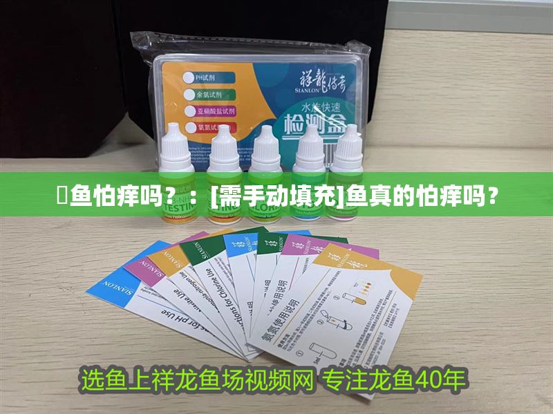 魟魚怕癢嗎？：[需手動填充]魚真的怕癢嗎？