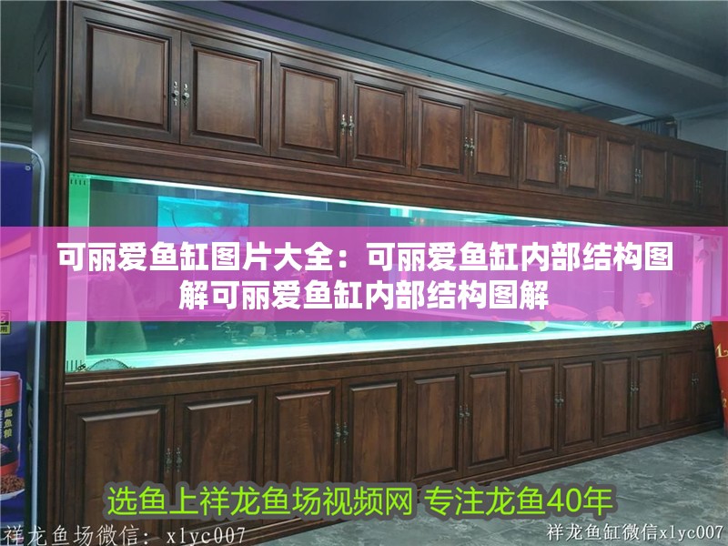 可麗愛魚缸圖片大全：可麗愛魚缸內(nèi)部結(jié)構(gòu)圖解可麗愛魚缸內(nèi)部結(jié)構(gòu)圖解