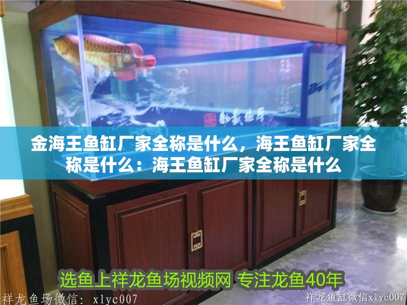 金海王魚缸廠家全稱是什么，海王魚缸廠家全稱是什么：海王魚缸廠家全稱是什么
