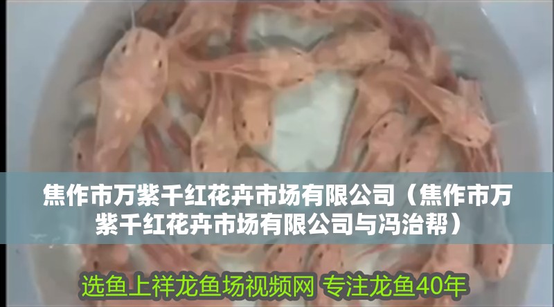 焦作市萬紫千紅花卉市場有限公司（焦作市萬紫千紅花卉市場有限公司與馮治幫）