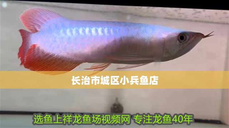 長治市城區小兵魚店