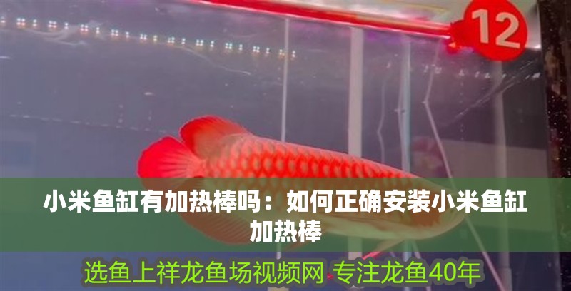 小米魚缸有加熱棒嗎：如何正確安裝小米魚缸加熱棒 小米魚缸有加熱棒嗎：如何正確安裝小米魚缸加熱棒 魚缸百科