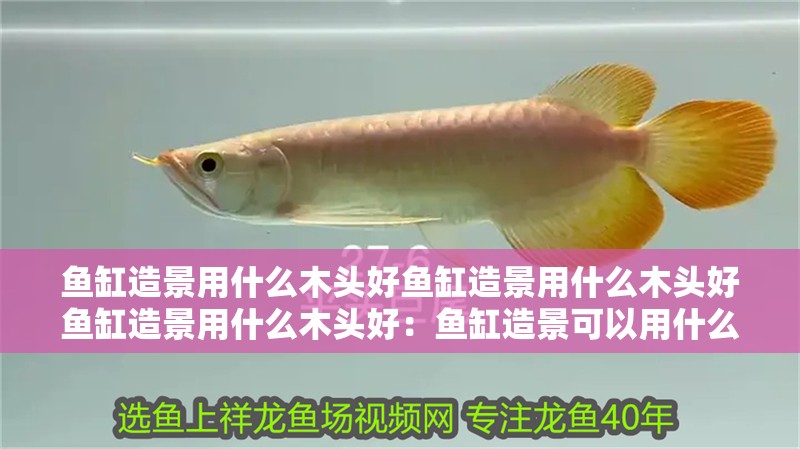 魚缸造景用什么木頭好魚缸造景用什么木頭好魚缸造景用什么木頭好：魚缸造景可以用什么木頭
