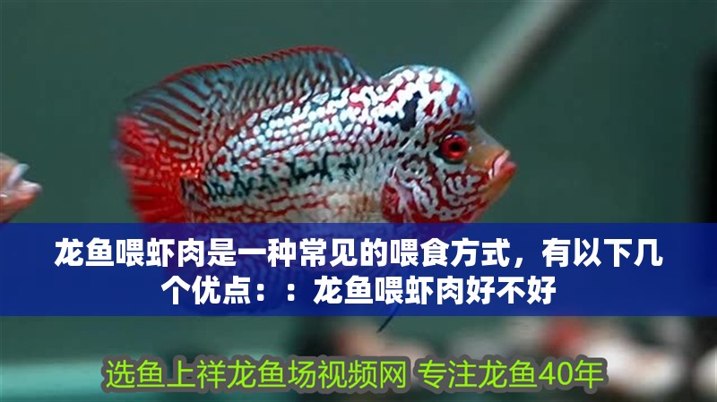 龍魚(yú)喂蝦肉是一種常見(jiàn)的喂食方式，有以下幾個(gè)優(yōu)點(diǎn)：：龍魚(yú)喂蝦肉好不好