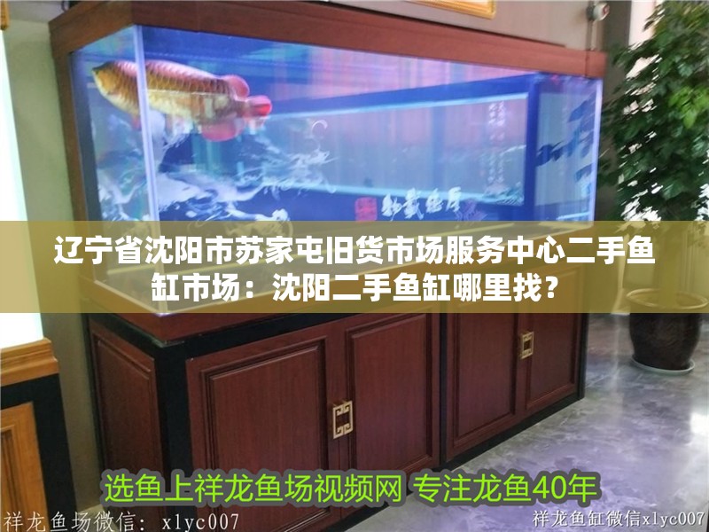 遼寧省沈陽市蘇家屯舊貨市場服務中心二手魚缸市場：沈陽二手魚缸哪里找？