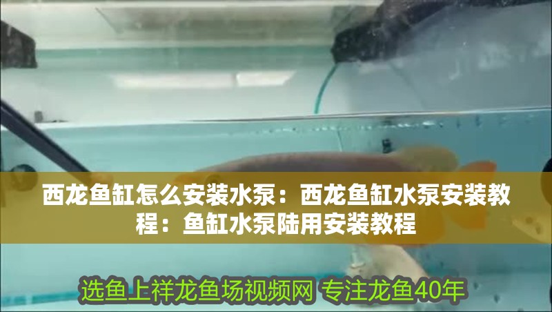 西龍魚缸怎么安裝水泵：西龍魚缸水泵安裝教程：魚缸水泵陸用安裝教程