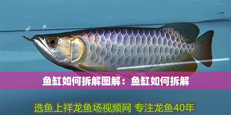 魚缸如何拆解圖解：魚缸如何拆解